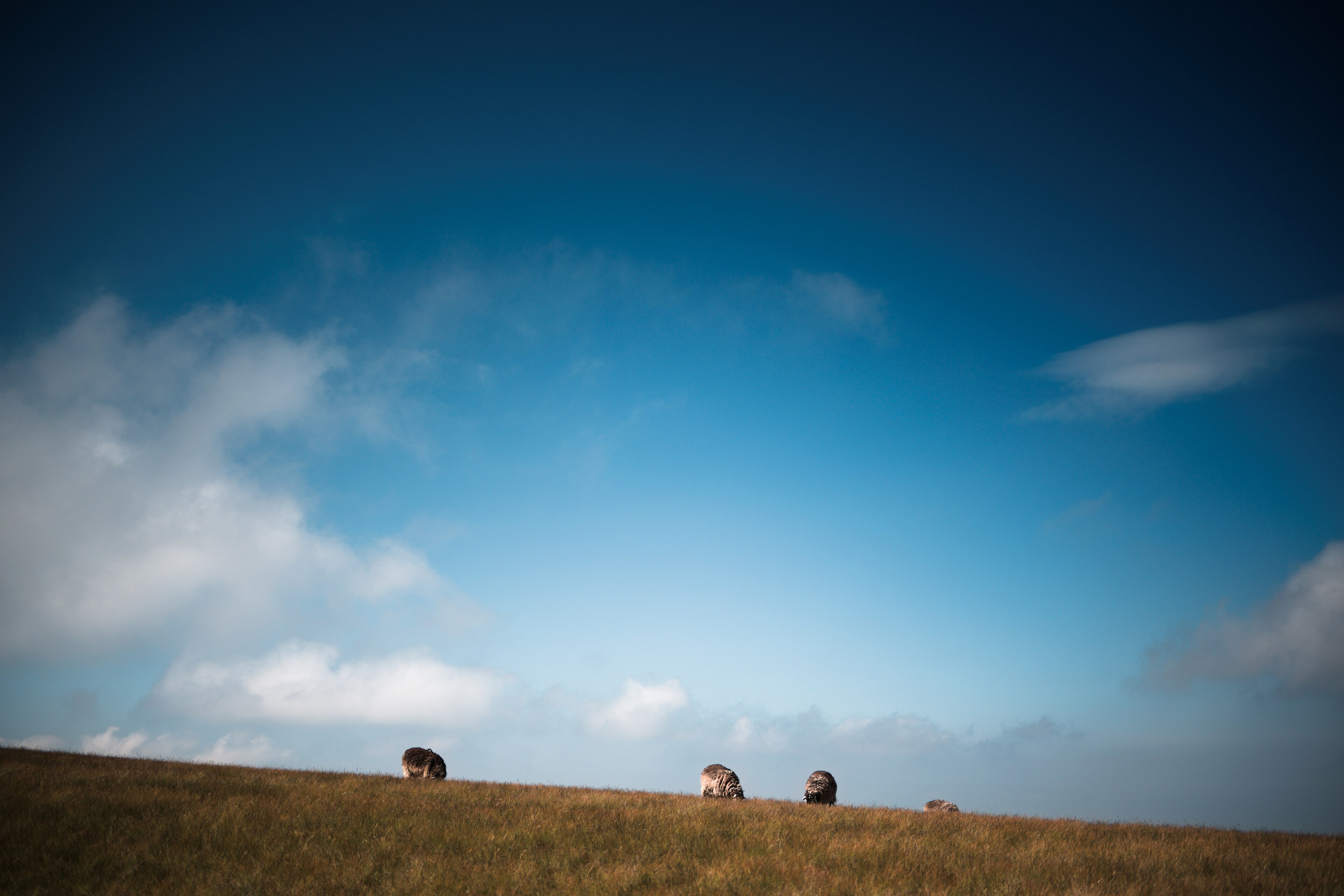 Whernside, Yorkshire Dales